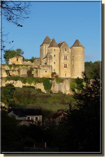 Château de Salignac Château de Salignac