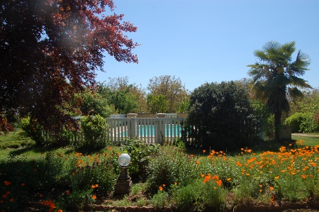 piscine-fleurs450x300.jpg